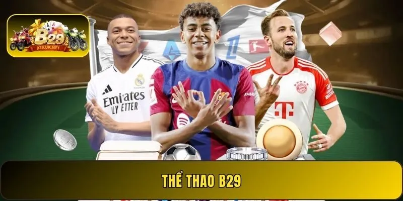 the-thao-b29